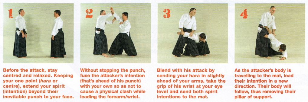 No-Bull Aikido Pic1