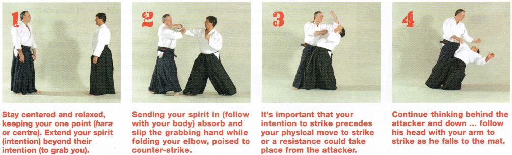 No-Bull Aikido pic4