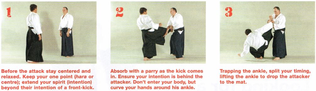 No-Bull Aikido pic7